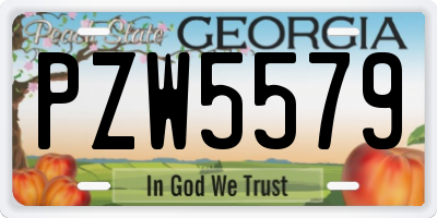 GA license plate PZW5579