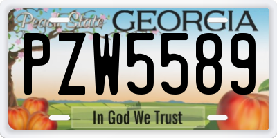 GA license plate PZW5589