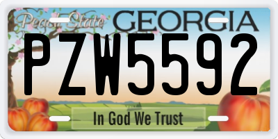 GA license plate PZW5592