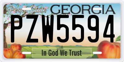 GA license plate PZW5594