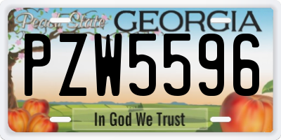 GA license plate PZW5596