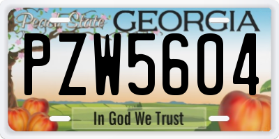 GA license plate PZW5604