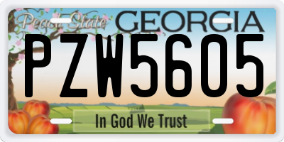 GA license plate PZW5605