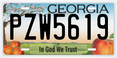 GA license plate PZW5619