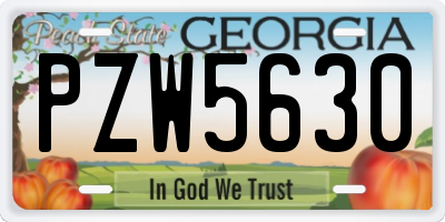 GA license plate PZW5630