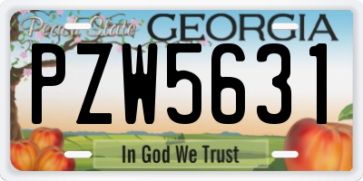 GA license plate PZW5631
