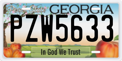 GA license plate PZW5633