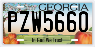 GA license plate PZW5660