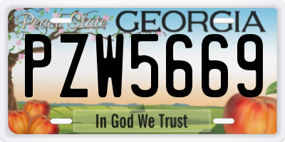 GA license plate PZW5669