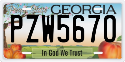 GA license plate PZW5670
