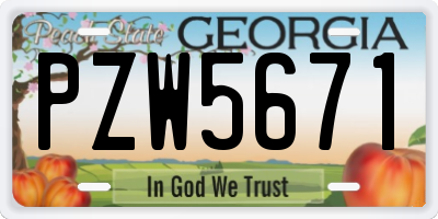 GA license plate PZW5671