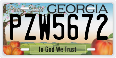 GA license plate PZW5672