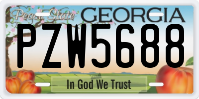GA license plate PZW5688