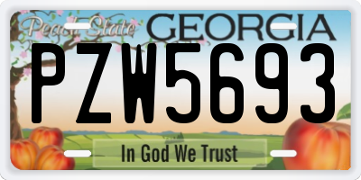 GA license plate PZW5693
