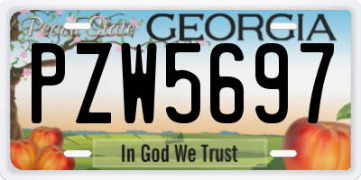 GA license plate PZW5697