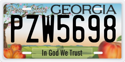 GA license plate PZW5698