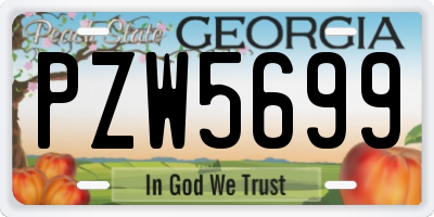 GA license plate PZW5699