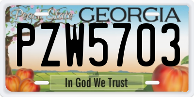GA license plate PZW5703