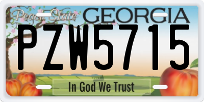 GA license plate PZW5715