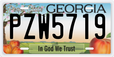 GA license plate PZW5719