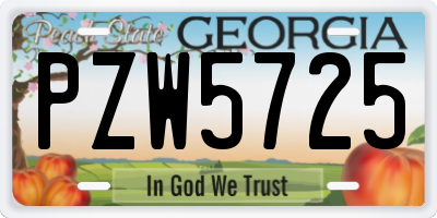 GA license plate PZW5725