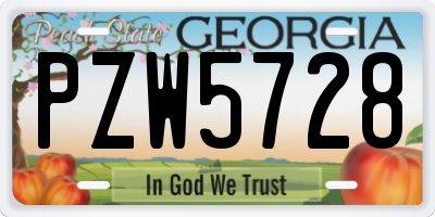 GA license plate PZW5728