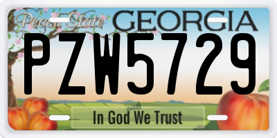 GA license plate PZW5729
