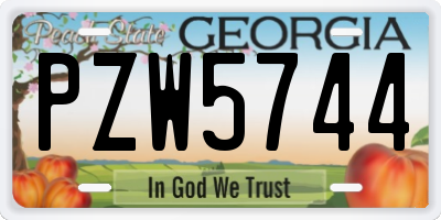 GA license plate PZW5744