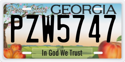 GA license plate PZW5747