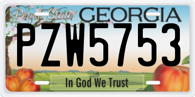 GA license plate PZW5753