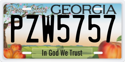 GA license plate PZW5757