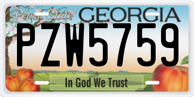 GA license plate PZW5759