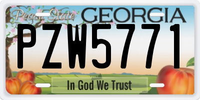 GA license plate PZW5771