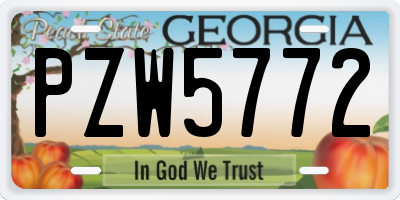 GA license plate PZW5772