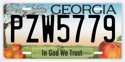GA license plate PZW5779