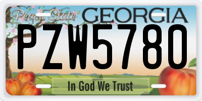 GA license plate PZW5780