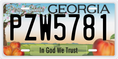 GA license plate PZW5781