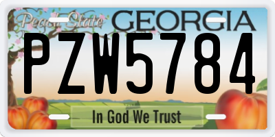 GA license plate PZW5784