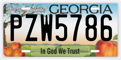 GA license plate PZW5786