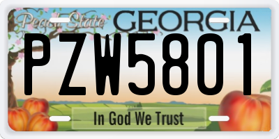 GA license plate PZW5801