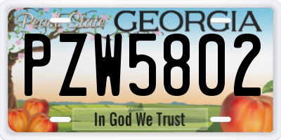 GA license plate PZW5802