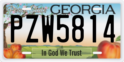 GA license plate PZW5814