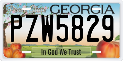 GA license plate PZW5829