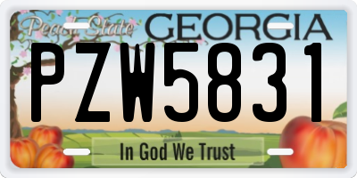 GA license plate PZW5831