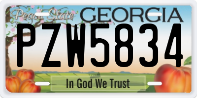 GA license plate PZW5834