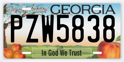 GA license plate PZW5838