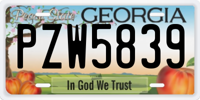 GA license plate PZW5839