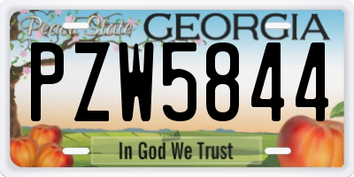 GA license plate PZW5844