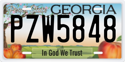 GA license plate PZW5848