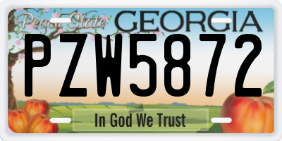GA license plate PZW5872